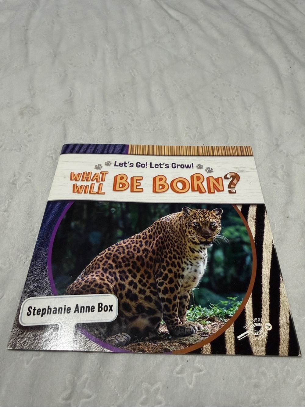 Let's Go! Let's Grow! What Will Be Born? - Brown Leopard Cover